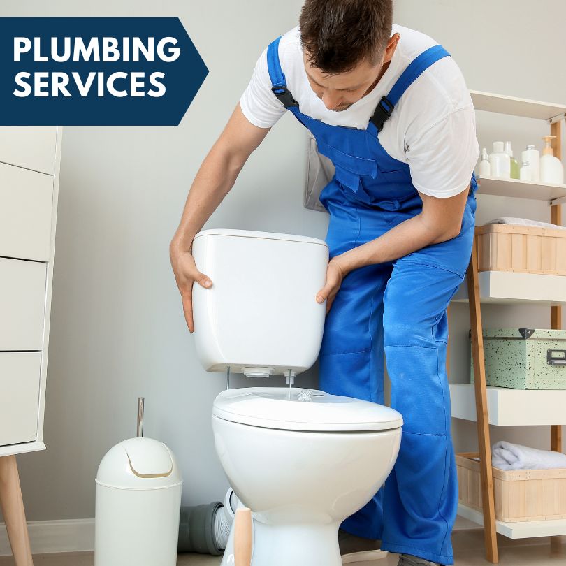 Plumbing Company in Homeland, FL